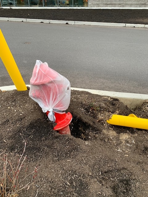 fire hydrant in bag