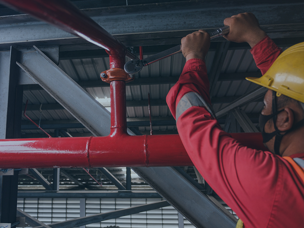 Engineer professional checking fire system