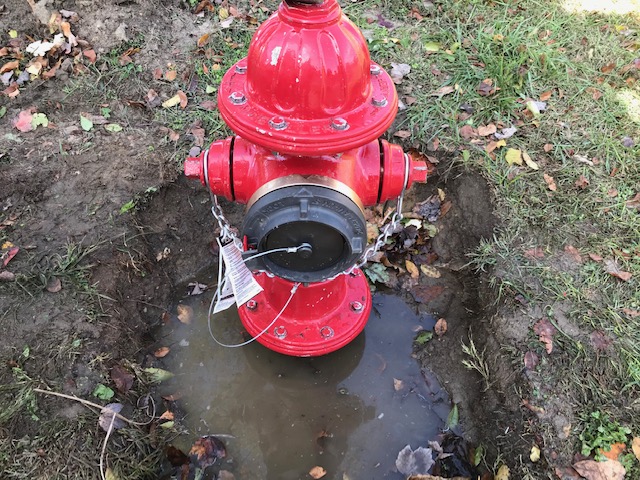 fire hydrant in puddle